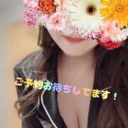 ヒメ日記 2025/03/19 17:34 投稿 さな チューリップ福井本館