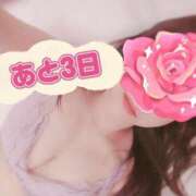 ヒメ日記 2025/03/23 08:54 投稿 さな チューリップ福井本館