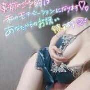 ヒメ日記 2025/04/12 12:45 投稿 さな チューリップ福井本館