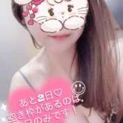 ヒメ日記 2025/04/20 09:18 投稿 さな チューリップ福井本館