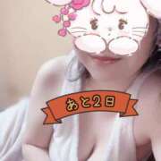 ヒメ日記 2025/04/24 09:04 投稿 さな チューリップ福井本館