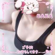 ヒメ日記 2025/06/23 09:18 投稿 さな チューリップ福井本館