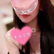 ヒメ日記 2025/06/25 09:21 投稿 さな チューリップ福井本館