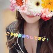 ヒメ日記 2025/11/17 09:14 投稿 さな チューリップ福井本館