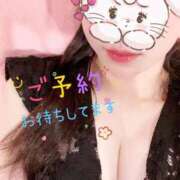 さな 31日… チューリップ福井本館