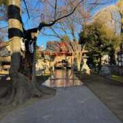 ヒメ日記 2025/01/02 08:50 投稿 田中とわ 川崎南町 素敵な奥様（川崎ハレ系）