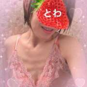 ヒメ日記 2025/03/18 09:40 投稿 田中とわ 川崎南町 素敵な奥様（川崎ハレ系）