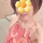 ヒメ日記 2025/03/22 08:35 投稿 田中とわ 川崎南町 素敵な奥様（川崎ハレ系）