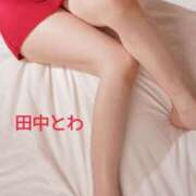 ヒメ日記 2025/04/17 05:02 投稿 田中とわ 川崎南町 素敵な奥様（川崎ハレ系）
