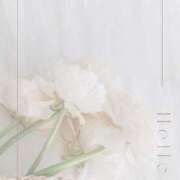 ヒメ日記 2025/04/17 15:01 投稿 田中とわ 川崎南町 素敵な奥様（川崎ハレ系）