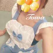 ヒメ日記 2025/04/18 14:55 投稿 田中とわ 川崎南町 素敵な奥様（川崎ハレ系）