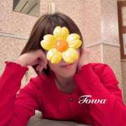 ヒメ日記 2025/04/24 08:08 投稿 田中とわ 川崎南町 素敵な奥様（川崎ハレ系）