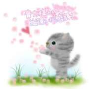 ヒメ日記 2025/04/29 06:54 投稿 田中とわ 川崎南町 素敵な奥様（川崎ハレ系）