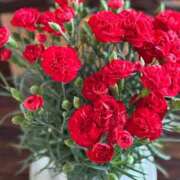 ヒメ日記 2025/05/12 23:42 投稿 田中とわ 川崎南町 素敵な奥様（川崎ハレ系）