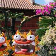 ヒメ日記 2025/05/22 21:24 投稿 田中とわ 川崎南町 素敵な奥様（川崎ハレ系）