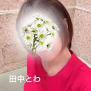 ヒメ日記 2025/06/02 22:34 投稿 田中とわ 川崎南町 素敵な奥様（川崎ハレ系）