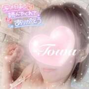 ヒメ日記 2025/06/25 13:21 投稿 田中とわ 川崎南町 素敵な奥様（川崎ハレ系）