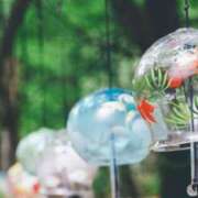 ヒメ日記 2025/07/07 22:59 投稿 田中とわ 川崎南町 素敵な奥様（川崎ハレ系）