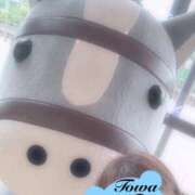 ヒメ日記 2025/07/09 12:21 投稿 田中とわ 川崎南町 素敵な奥様（川崎ハレ系）