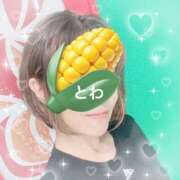 ヒメ日記 2025/07/21 23:40 投稿 田中とわ 川崎南町 素敵な奥様（川崎ハレ系）