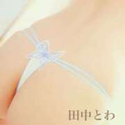 ヒメ日記 2025/07/31 06:28 投稿 田中とわ 川崎南町 素敵な奥様（川崎ハレ系）