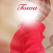 田中とわ お知らせ*:..｡ 川崎南町 素敵な奥様（川崎ハレ系）