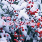 ヒメ日記 2025/12/27 23:47 投稿 田中とわ 川崎南町 素敵な奥様（川崎ハレ系）