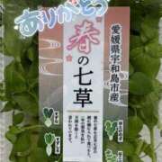 ヒメ日記 2026/01/07 22:47 投稿 田中とわ 川崎南町 素敵な奥様（川崎ハレ系）