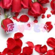 ヒメ日記 2026/01/11 07:05 投稿 田中とわ 川崎南町 素敵な奥様（川崎ハレ系）