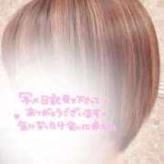 ヒメ日記 2026/02/09 11:54 投稿 田中とわ 川崎南町 素敵な奥様（川崎ハレ系）