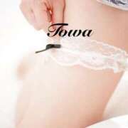 ヒメ日記 2026/02/23 12:54 投稿 田中とわ 川崎南町 素敵な奥様（川崎ハレ系）