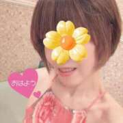 ヒメ日記 2026/02/27 07:30 投稿 田中とわ 川崎南町 素敵な奥様（川崎ハレ系）