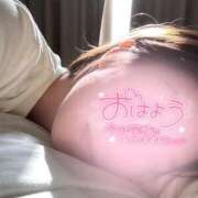 ヒメ日記 2026/02/28 07:30 投稿 田中とわ 川崎南町 素敵な奥様（川崎ハレ系）