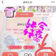 ヒメ日記 2026/02/28 14:56 投稿 田中とわ 川崎南町 素敵な奥様（川崎ハレ系）