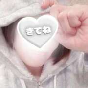 田中とわ 🩷🩵🤍*:..｡ 川崎南町 素敵な奥様（川崎ハレ系）