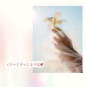 ヒメ日記 2026/03/07 14:59 投稿 田中とわ 川崎南町 素敵な奥様（川崎ハレ系）