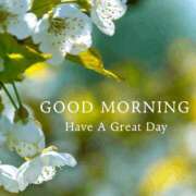 ヒメ日記 2026/03/11 07:31 投稿 田中とわ 川崎南町 素敵な奥様（川崎ハレ系）