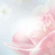 ヒメ日記 2026/03/12 10:15 投稿 田中とわ 川崎南町 素敵な奥様（川崎ハレ系）