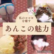 ヒメ日記 2026/03/13 14:49 投稿 田中とわ 川崎南町 素敵な奥様（川崎ハレ系）