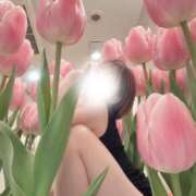 ヒメ日記 2026/04/23 17:31 投稿 田中とわ 川崎南町 素敵な奥様（川崎ハレ系）