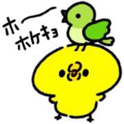 ヒメ日記 2026/05/07 09:34 投稿 田中とわ 川崎南町 素敵な奥様（川崎ハレ系）