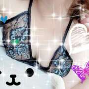 ヒメ日記 2025/10/07 17:01 投稿 みちこ 千葉人妻花壇