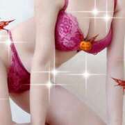 ヒメ日記 2025/10/25 12:22 投稿 みちこ 千葉人妻花壇