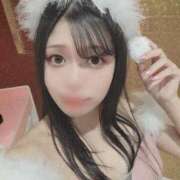 ヒメ日記 2024/12/20 12:49 投稿 まゆ チューリップ福井本館