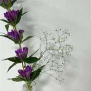 ヒメ日記 2025/01/08 15:05 投稿 まゆ チューリップ福井本館