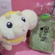 ヒメ日記 2025/04/28 15:07 投稿 まゆ チューリップ福井本館