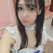 ヒメ日記 2025/05/11 12:44 投稿 まゆ チューリップ福井本館