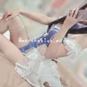 ヒメ日記 2025/09/29 21:34 投稿 まゆ チューリップ福井本館