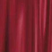 ヒメ日記 2025/10/21 12:24 投稿 まゆ チューリップ福井本館