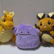 ヒメ日記 2025/11/22 12:44 投稿 まゆ チューリップ福井本館